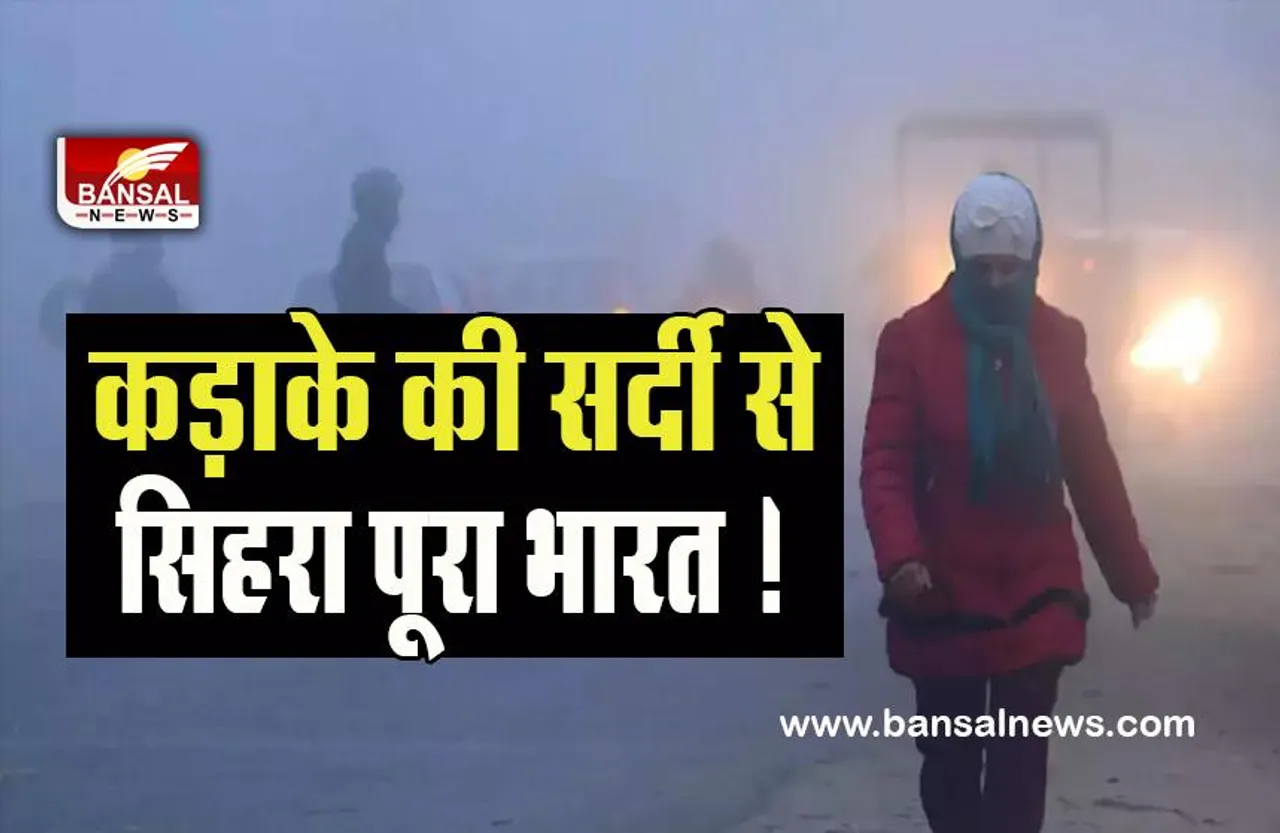 Cold Wave IMD Alert: कड़ाके की सर्दी से सिहरा पूरा भारत ! दिल्ली समेत राज्यों में ठिठुर रहे लोग, देरी से चल रही ट्रेनें, जानें अलर्ट