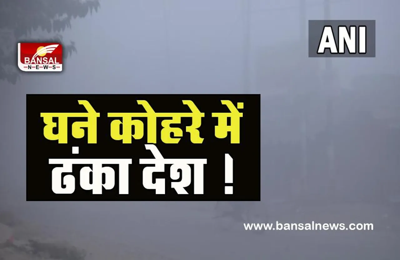 Cold Weather Wave: यूपी में घने कोहरे में ढंका प्रदेश ! राजधानी दिल्ली समेत जानें राज्यों में कैसा है ठंड का मौसम