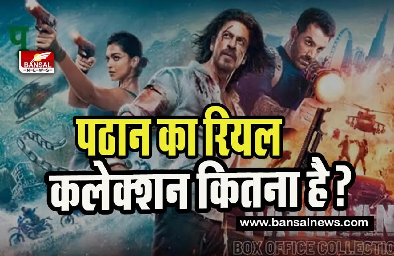 SRK on Pathaan Box Office Collection: जब फैन ने पूछा फिल्म का रियल कलेक्शन ! क्या जवाब दे गए किंग खान