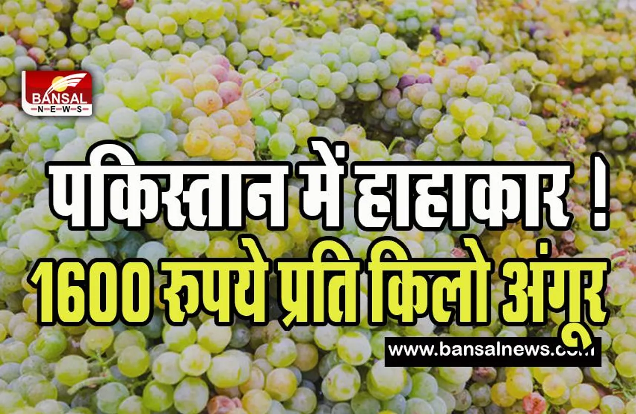 Pakistan Economy Crisis: यहां रमजान में 1600 रुपये प्रति किलो अंगूर तो 500 रुपये दर्जन बिक रहे केले ! दाम सुनकर उड़ जाएगे होश