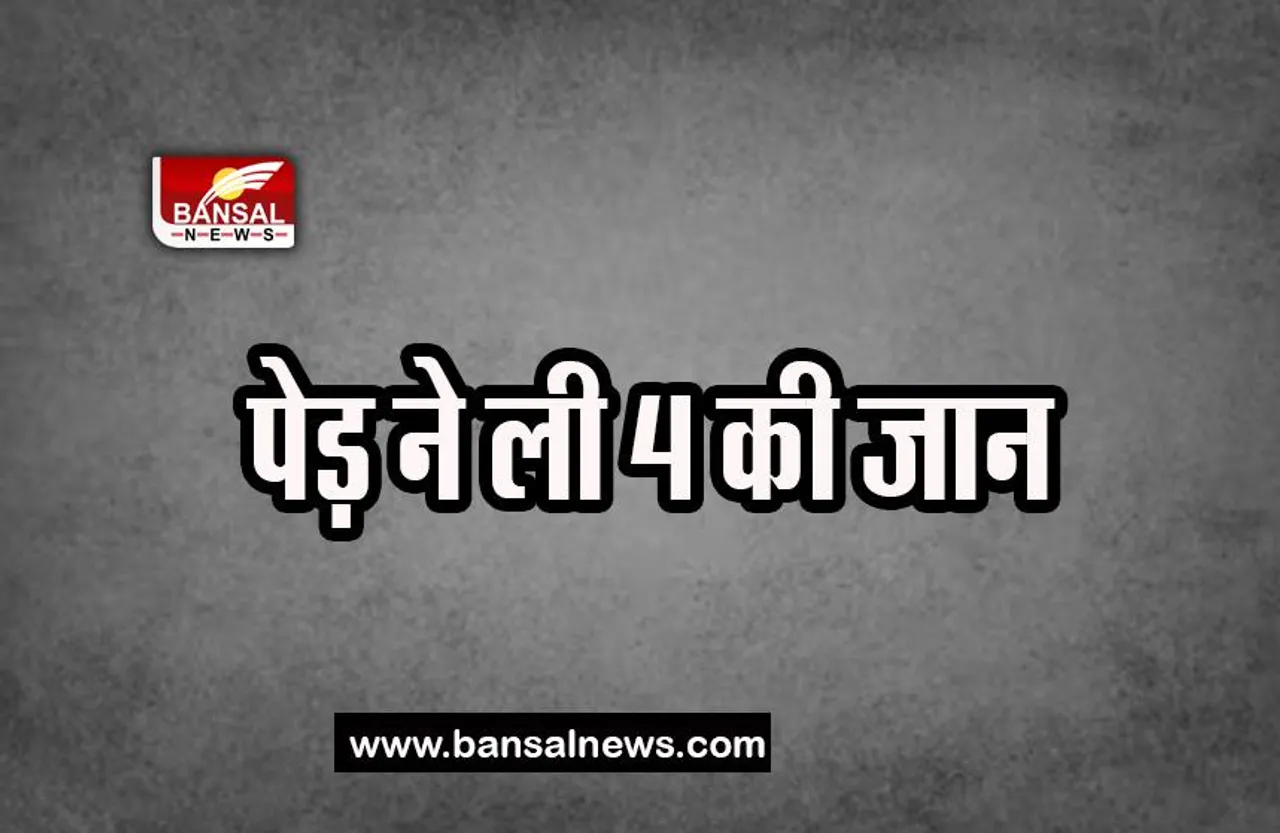 Kishtwar Incident Big Breaking: अचानक तंबू पर पेड़ गिरने से हुआ हादसा, 4 लोगों ने तोड़ा दम