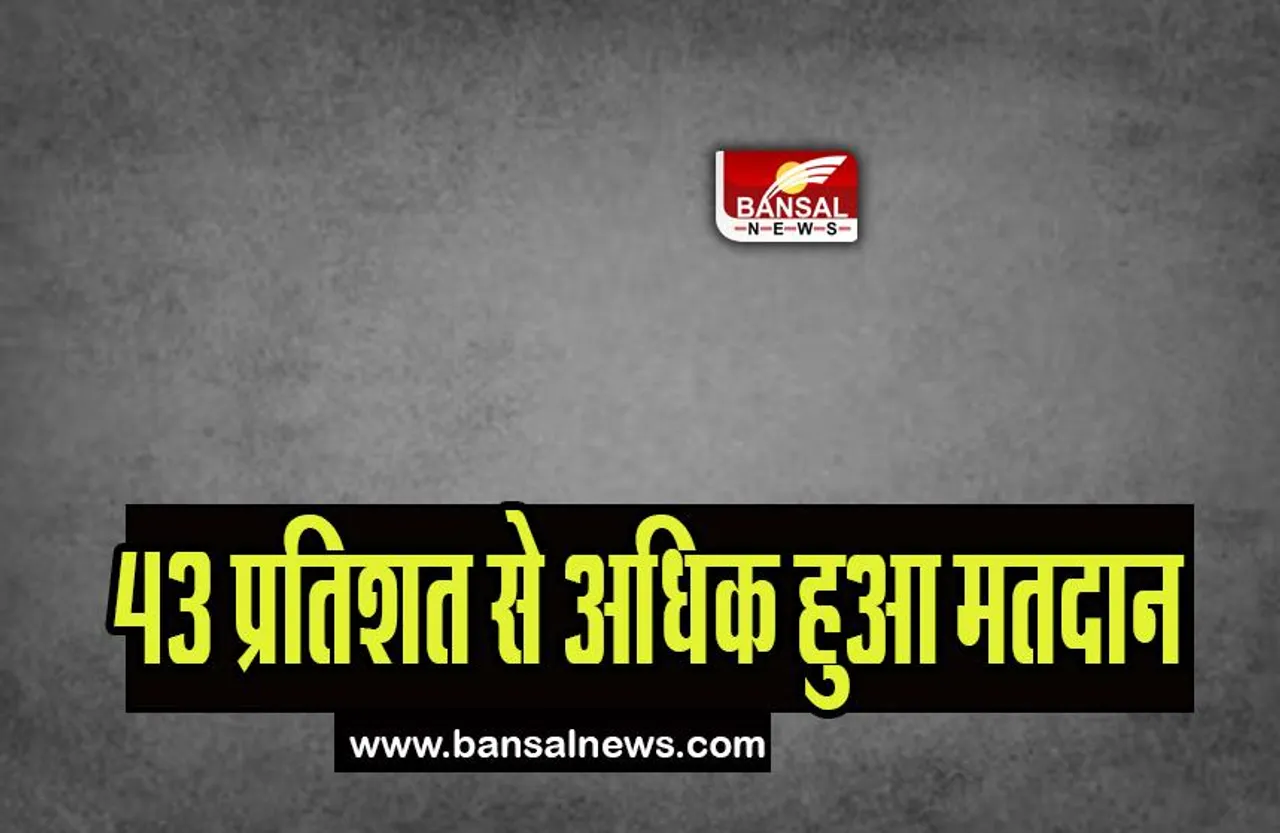 Shimla Municipal Corporation Election 2023: 43 प्रतिशत से अधिक हुआ मतदान, सुबह 8 बजे से शुरू हुई थी प्रक्रिया