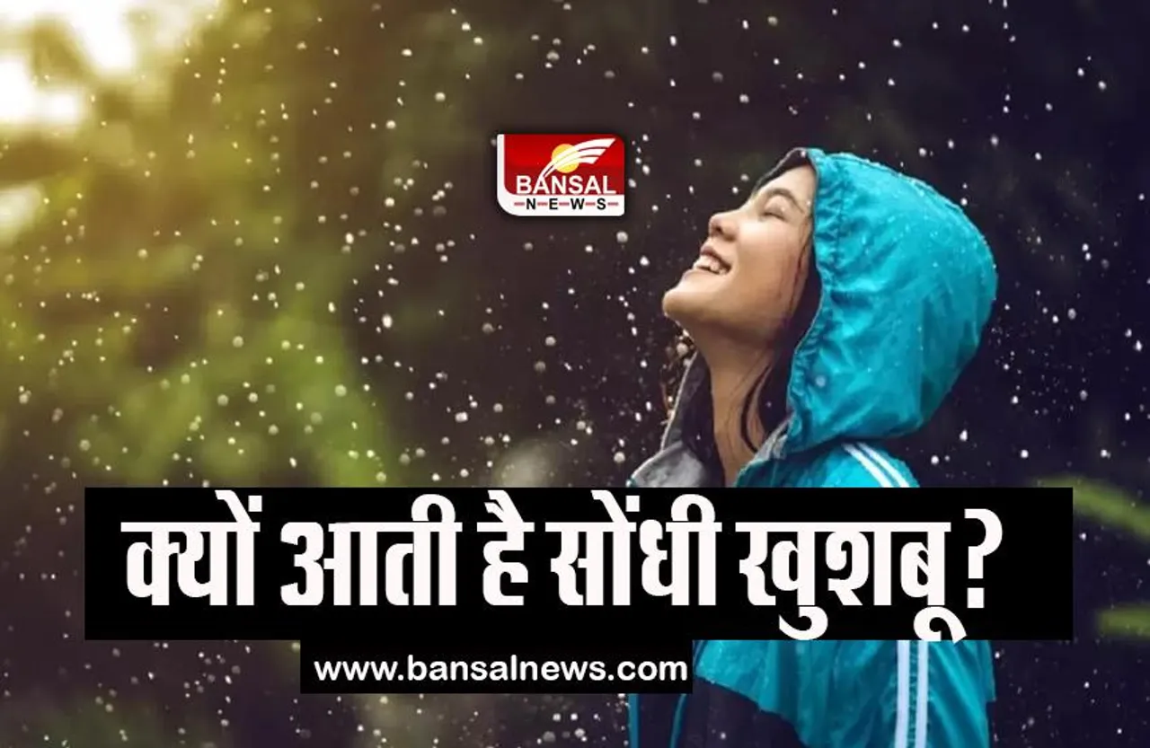 Monsoon 2023: पहली बारिश के बाद आखिर क्यों आती है सौंधी सी खुश्बू, जानिए इसका लॉजिक