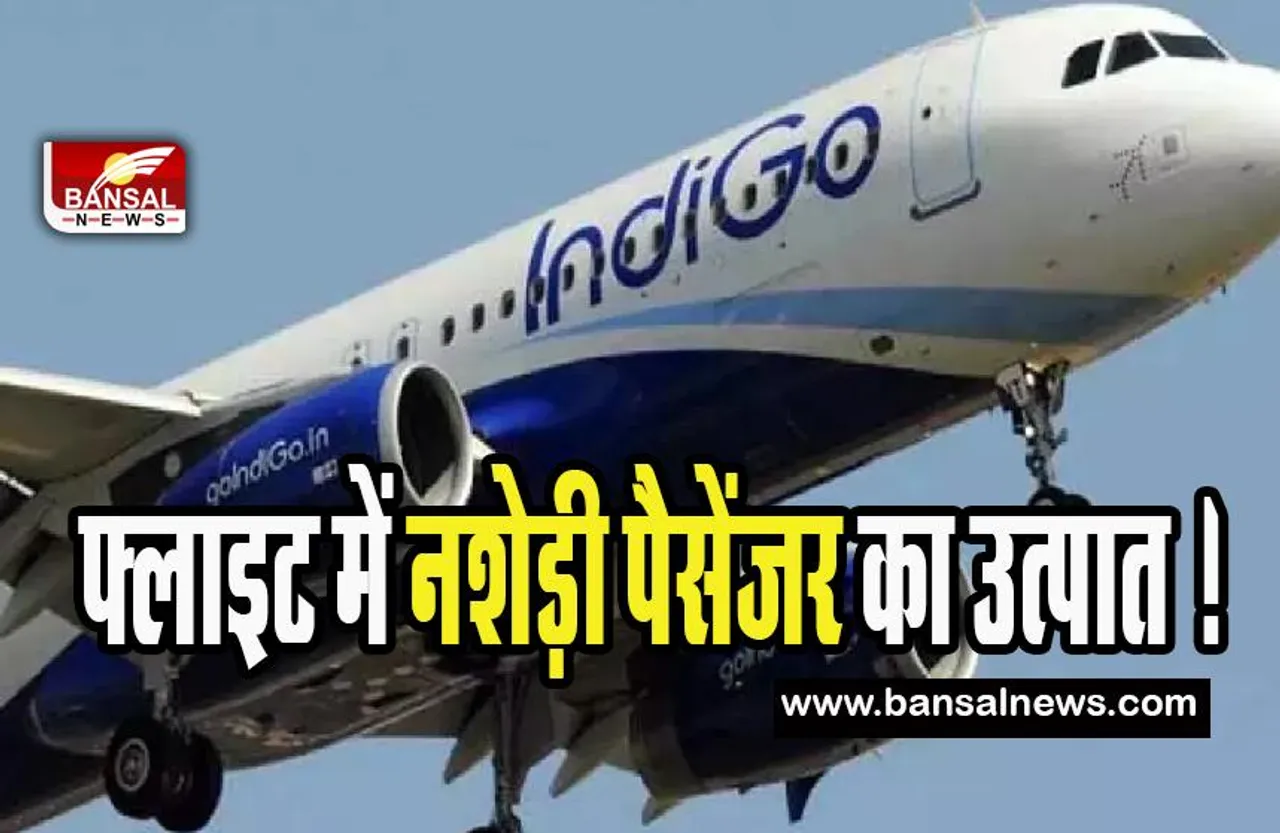 Indigo Flight Incident: फिर इंडिगो फ्लाइट में नशेड़ी पैसेंजर ने मचाया उत्पात !  कर दी ये गलत हरकत
