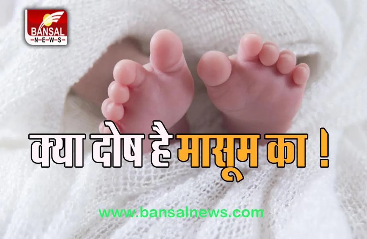 Bengal Big Breaking: ये हैवानियत कम नहीं ! कचरे के ढेर में एक साथ मिले 17 भ्रूण, पढ़ें ये खबर