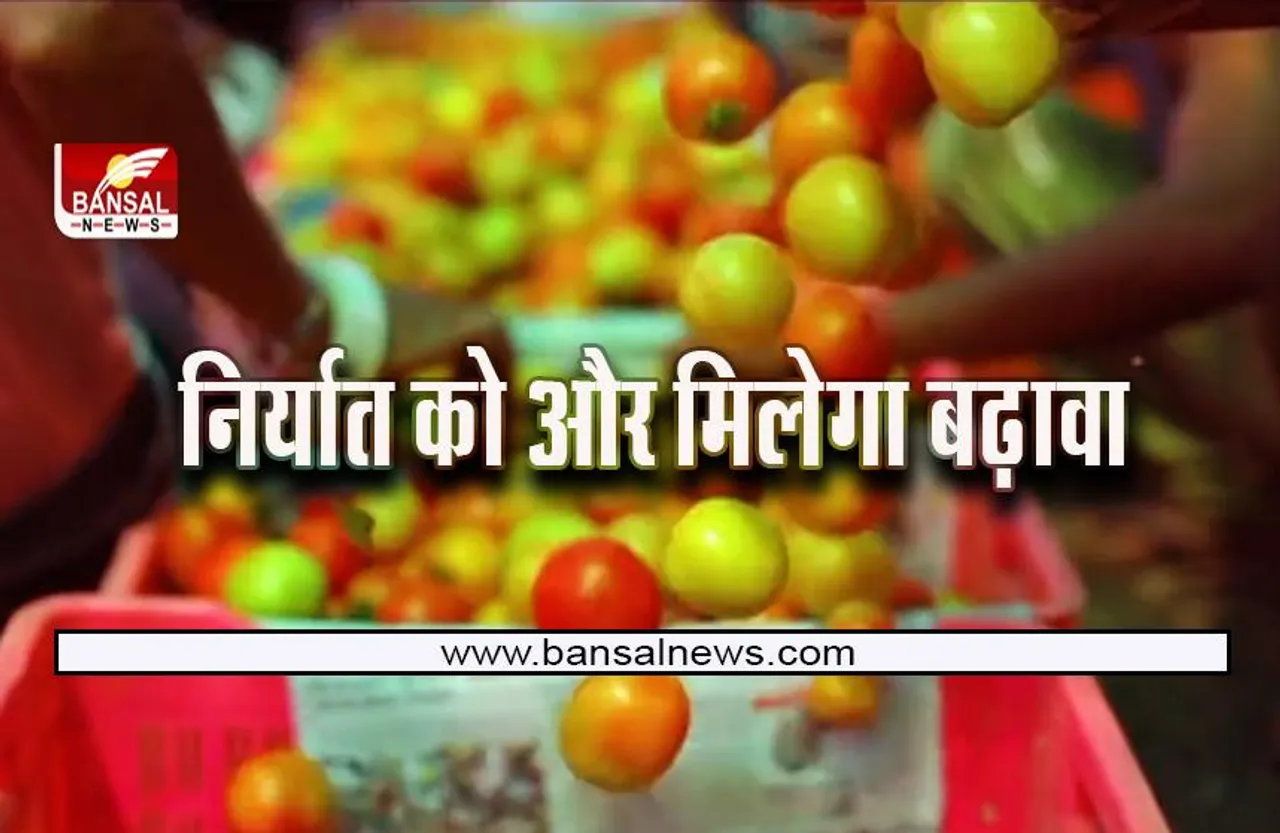 One District One Product: मप्र के इस जिले के टमाटरों का क्या कहना ! सरकार ने ओडीओपी में किया शामिल