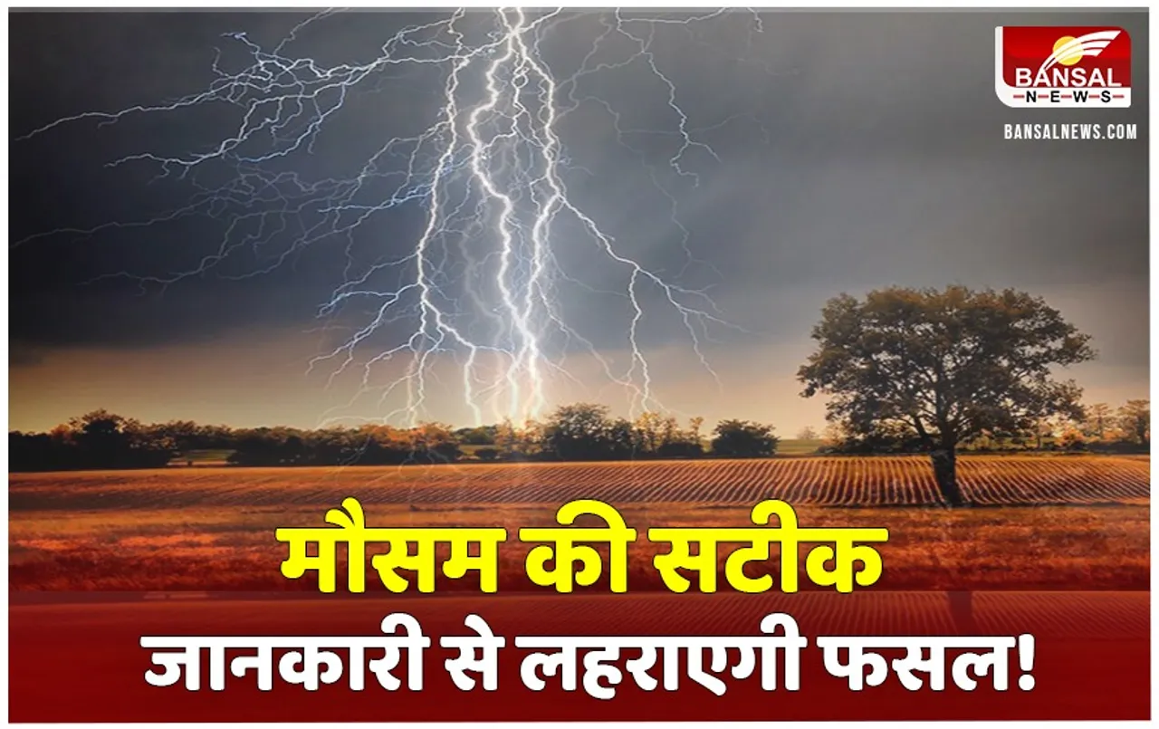 Panchayat Level Weather Forecast: पंचायत स्तरीय मौसम जानकारी देने की तैयारी, जानें मौसम के पूर्वानुमानों से खेती में कितना होगा फायदा