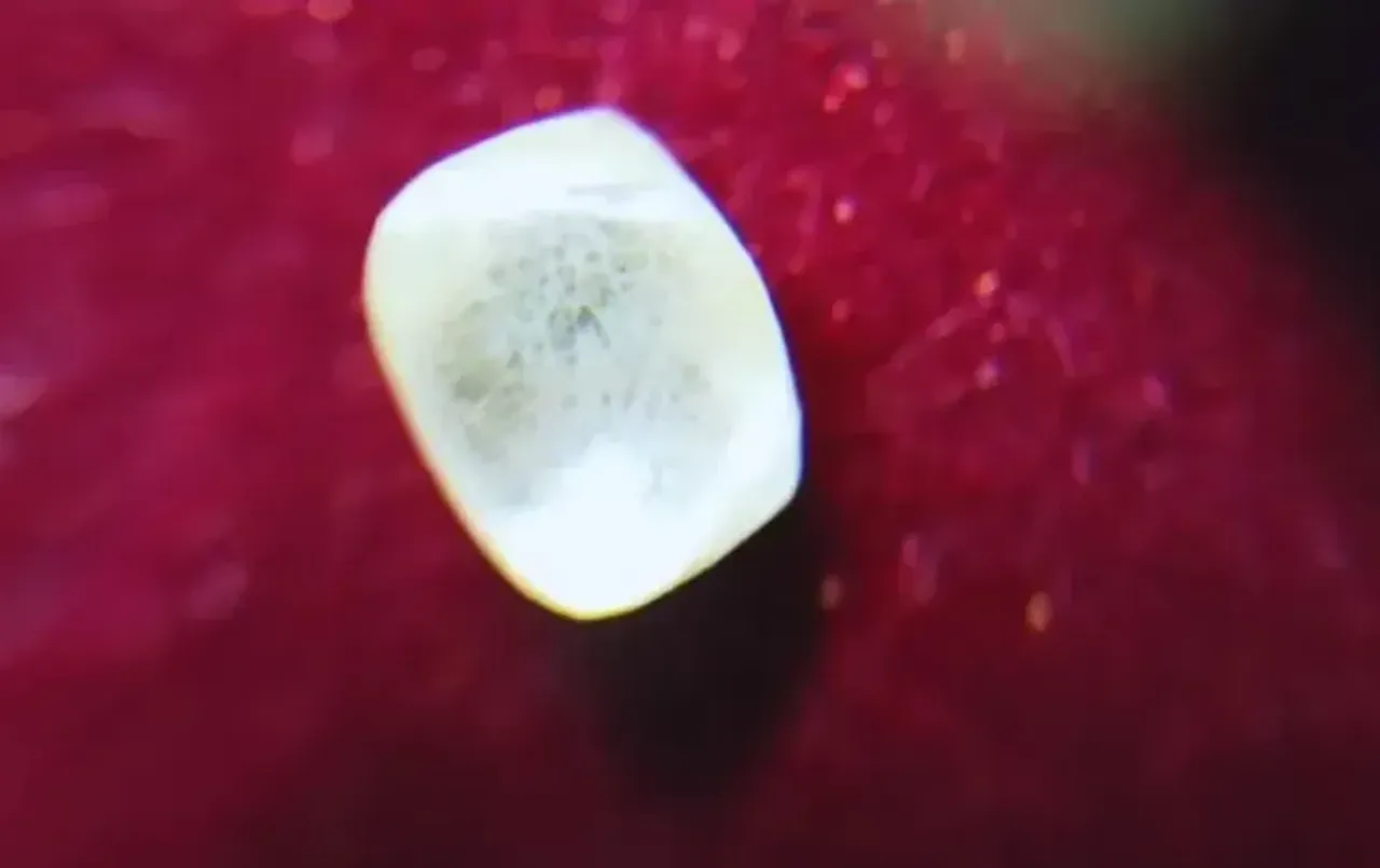 पन्ना का किसान रातोंरात हुआ मालामाल: खुदाई में मिला नायाब हीरा, कीमत जानकर हैरान रह जाएंगे आप