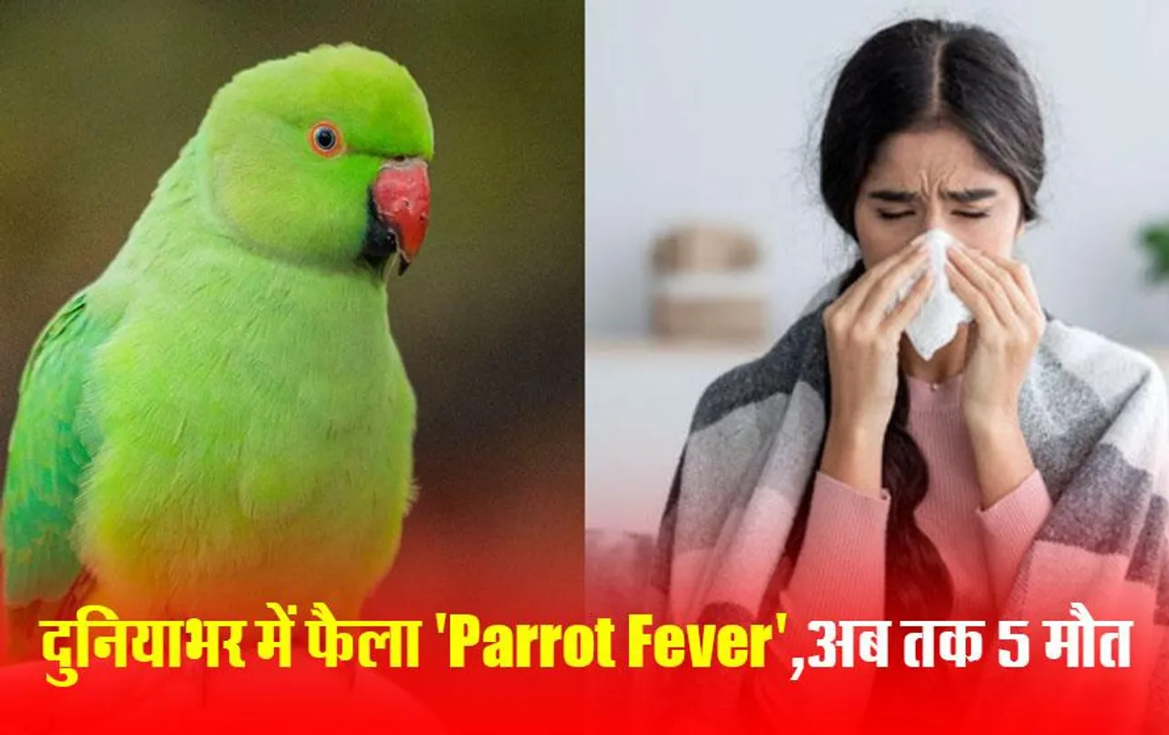 Parrot Fever Outbreak: पैरेट फीवर से सावधान! 5 मौतों से बढ़ी चिंता, WHO बोला- 4 देशों में 81 मामले सामने आ चुके