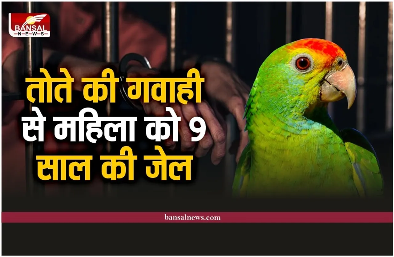 तोते ने दी गवाही, महिला को हुई 9 साल की जेल, जानिए पूरा मामला