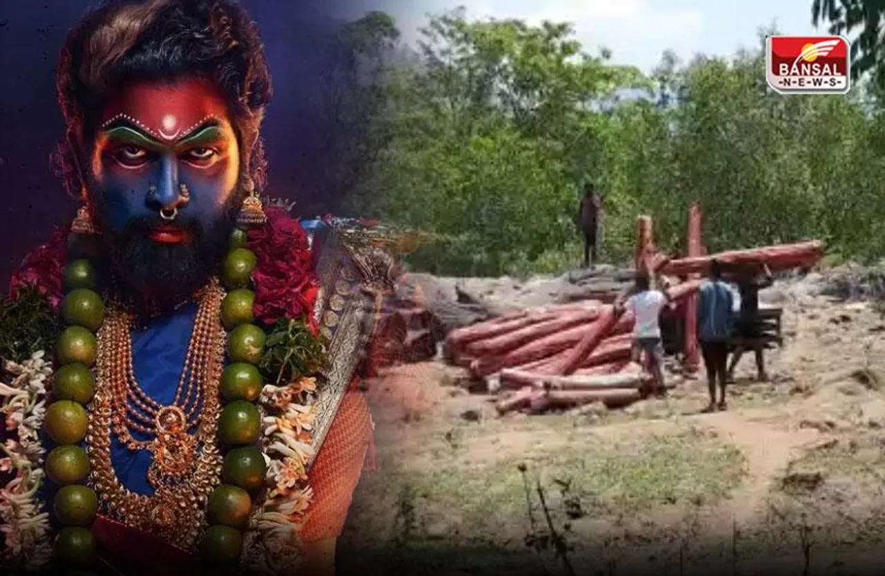 Pushpa-2 की शूटिंग साइट की वीडियो हुईं वायरल, पसीना बहा रही टीम