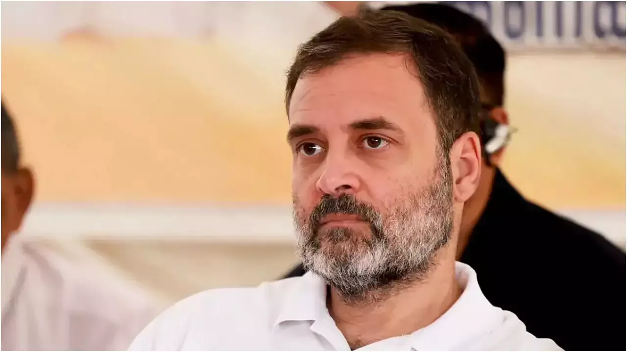 अचानक क्यों कैंसिल हुआ राहुल गांधी का सतना दौरा, राहुल की जगह अब ये नेता करेंगे सभा संबोधित!