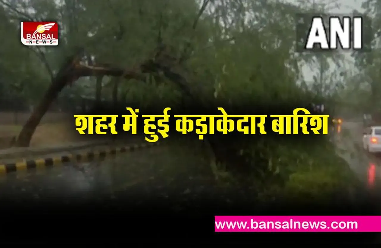 Rajasthan Heavy Rain Update: कई हिस्सों में तेज अंधड़ के साथ बारिश, सड़क पर गिरे पेड़