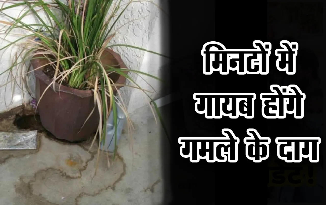 Remove Flower Pot Stains Tips: टेरिस गार्डन में रखे गमलों से टाइल्स पर बने जिद्दी दाग, ट्रिक से मिनटों में से करें साफ़