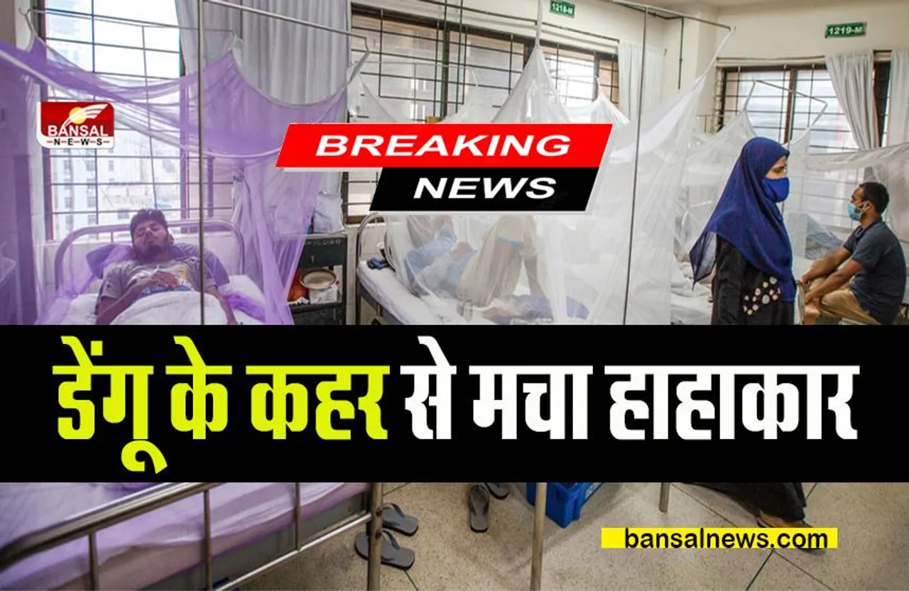 Dengue fever Spread: 10 साल बाद डेंगू के कहर से मचा हाहाकार, कई लोगों ने तोड़ा दम