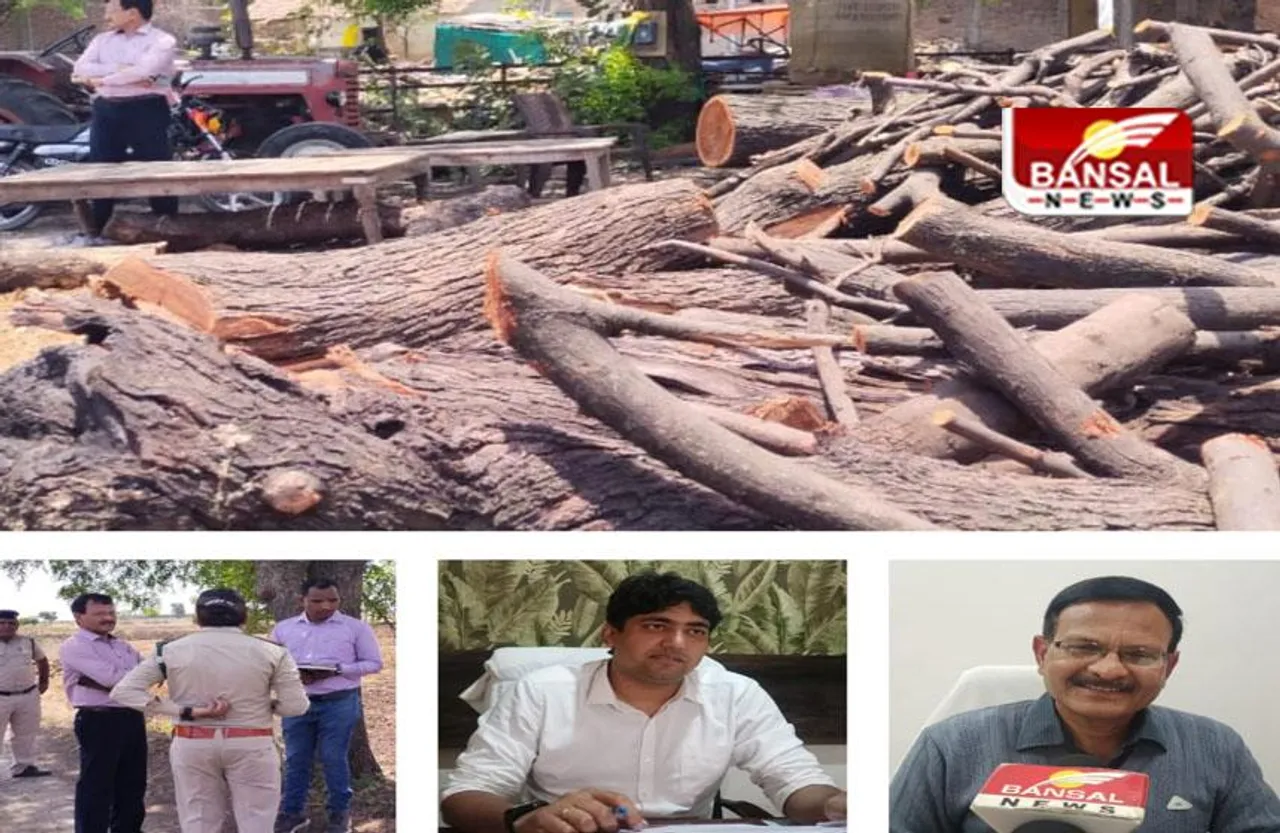 MP SHAJAPUR NEWS: पुलिस और वन विभाग की संयुक्त कार्रवाई में मिली बड़ी सफलता, 10 ट्राली लकड़ी जब्त