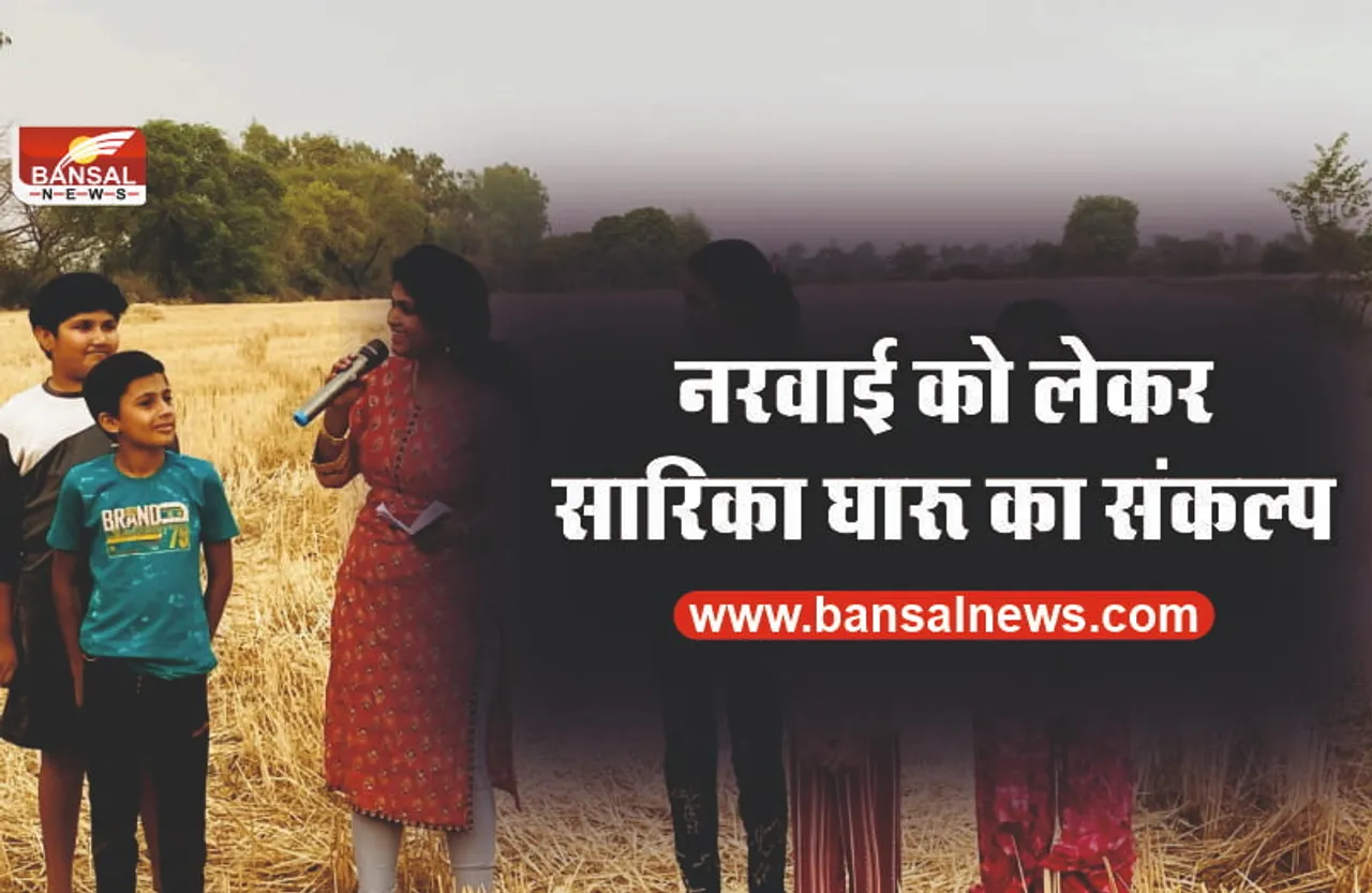 नरवाई के सस्ते वैज्ञानिक निपटान की अवश्यकता - सारिका घारू