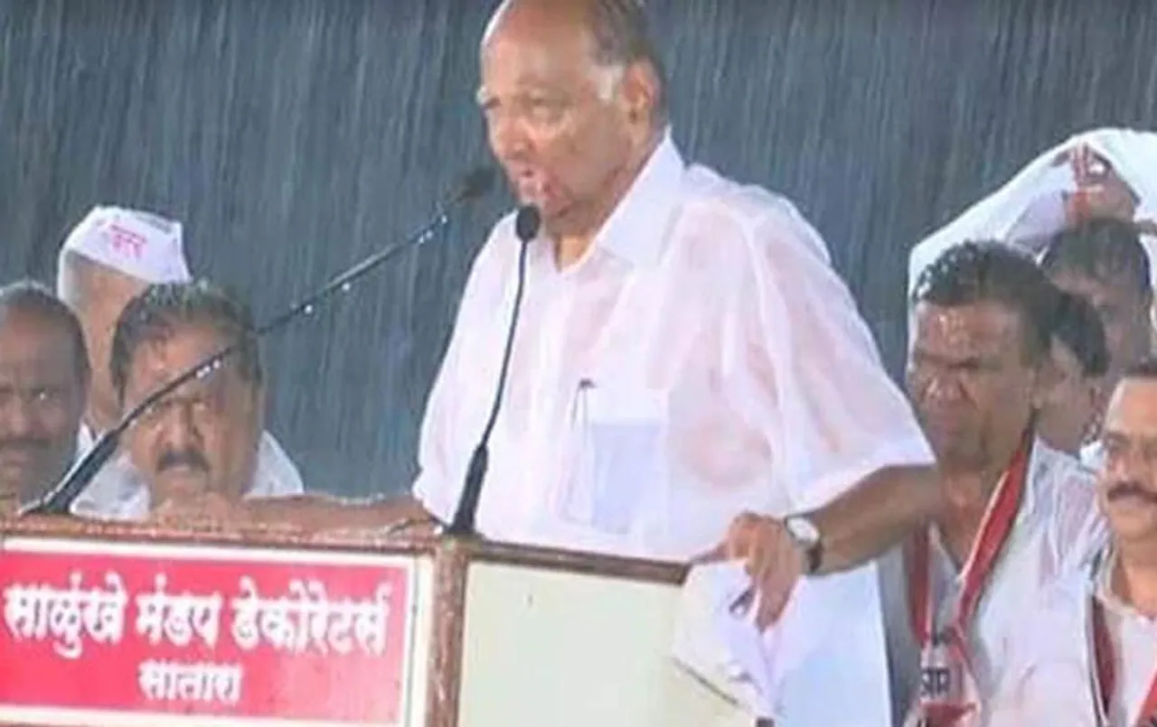 Sharad Pawar Video:  ताजा हुई साल 2019 की यादें, एक बार फिर पवार ने बारिश में भीगते हुए दिया भाषण