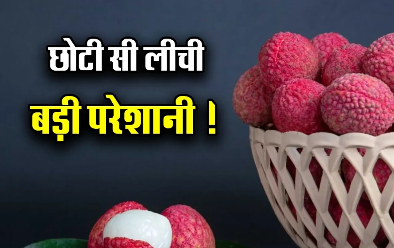 लीची का स्वाद बढ़ा सकता है जोखिम: क्या आपको भी गर्मियों में लीची खाना है पसंद तो हो जाएं सावधान