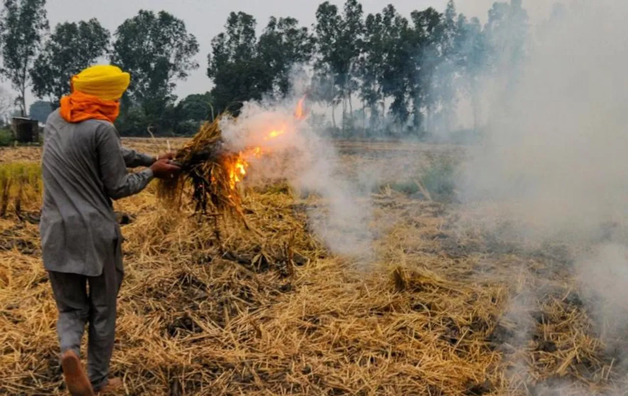 Stubble Burning Cases: पंजाब सरकार का दावा, इस वर्ष पराली जलाने की घटनाओं में 50 प्रतिशत की कमी लाएगा पंजाब