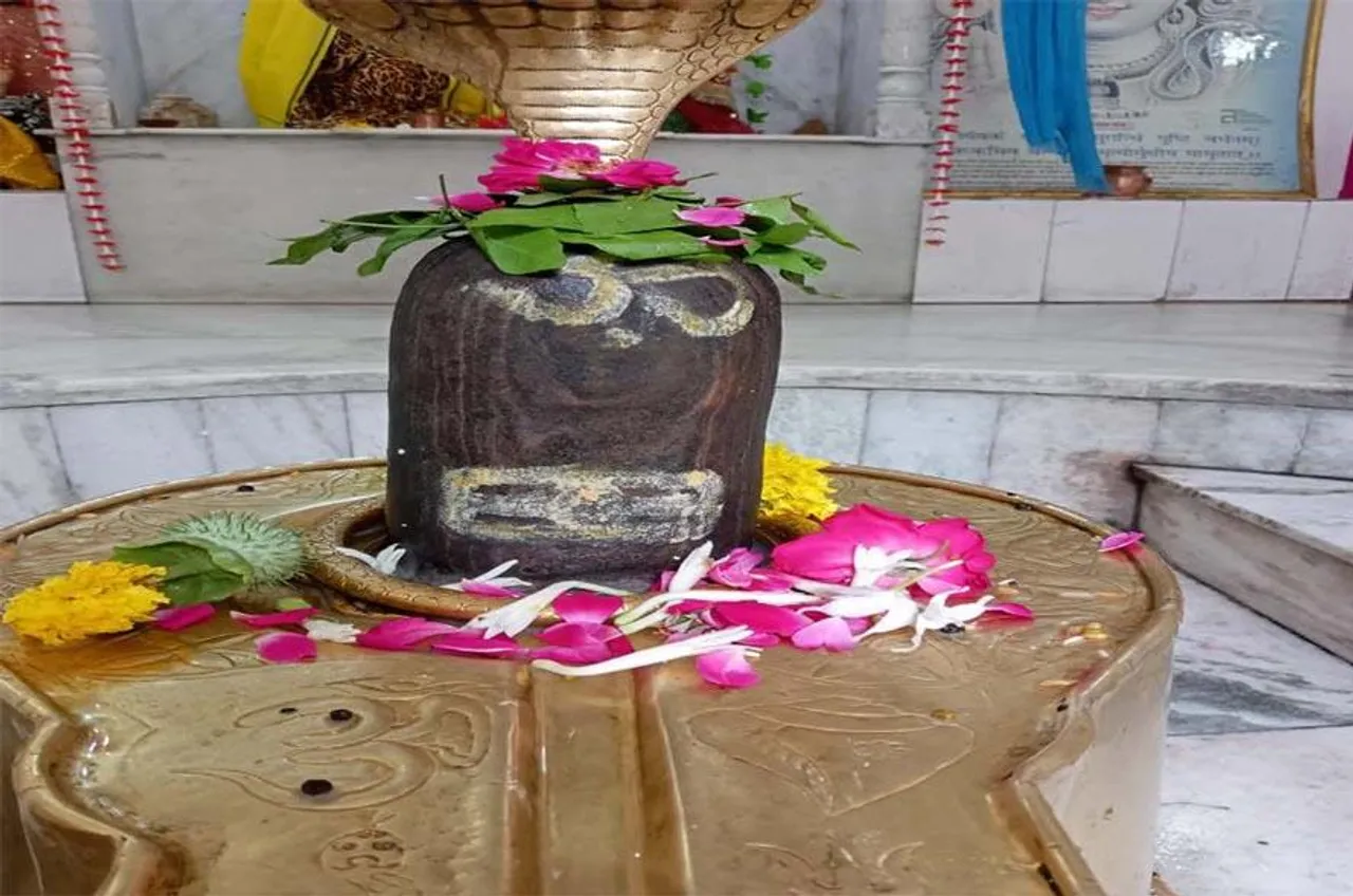 MP News: भोपाल के 1100 क्वार्टर में शिवलिंग में बनी महादेव की आकृति, दर्शन के लिए लगी भीड़