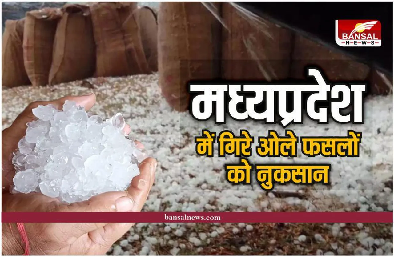 MP Weather : होली से पहले बदला मौसम, गिरे ओले, कई जगह आंधी,बारिश ऑरेंज अलर्ट जारी