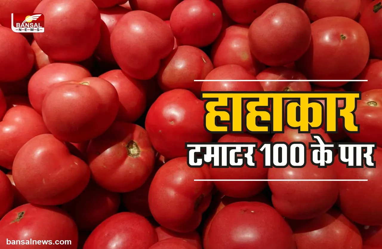Tomato Price : नींबू के बाद टमाटर ने छुआ आसमान, 100 रूपये किलो हुए टमाटर