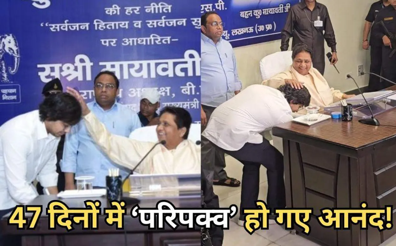 UP Politics News: BSP की वापसी आकाश भरोसे! मायावती ने आकाश आनंद को फिर नियुक्त किया नेशनल कोऑर्डिनेटर