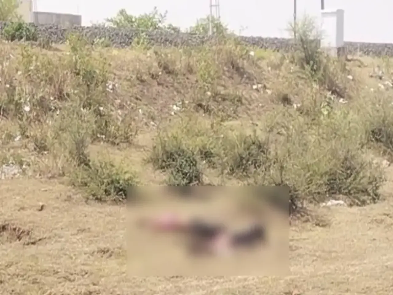 युवक-युवती ने ट्रेन के सामने कूदकर किया सुसाइड: विदिशा में दोनों साथ करते थे काम; पुलिस जांच में जुटी