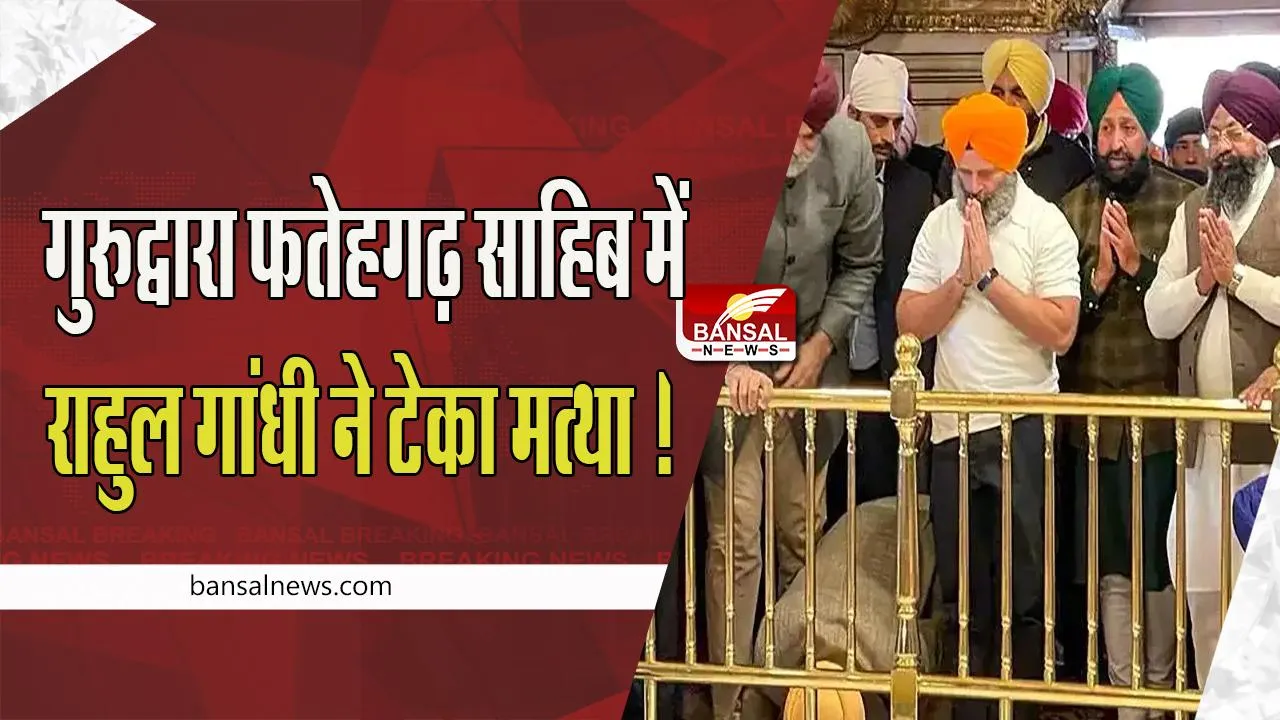 'Bharat Jodo Yatra': गुरुद्वारा फतेहगढ़ साहिब में कांग्रेस नेता राहुल गांधी ने टेका मत्था !   आधी बाजू की टी-शर्ट पहने आए नजर