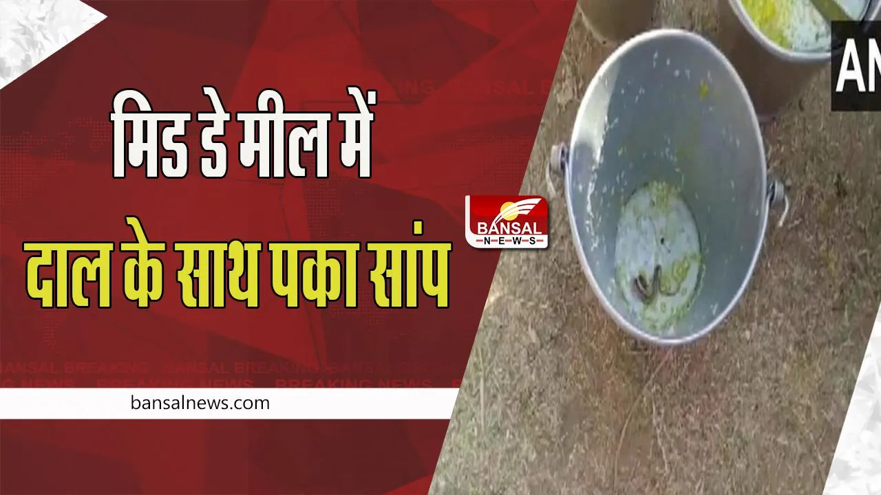 Snake In Mid-Day Meal: ये जानलेवा लापरवाही क्यों ? मिड डे मील में दाल के साथ पकाया सांप, तुरंत बीमार पड़े 30 से ज्यादा छात्र