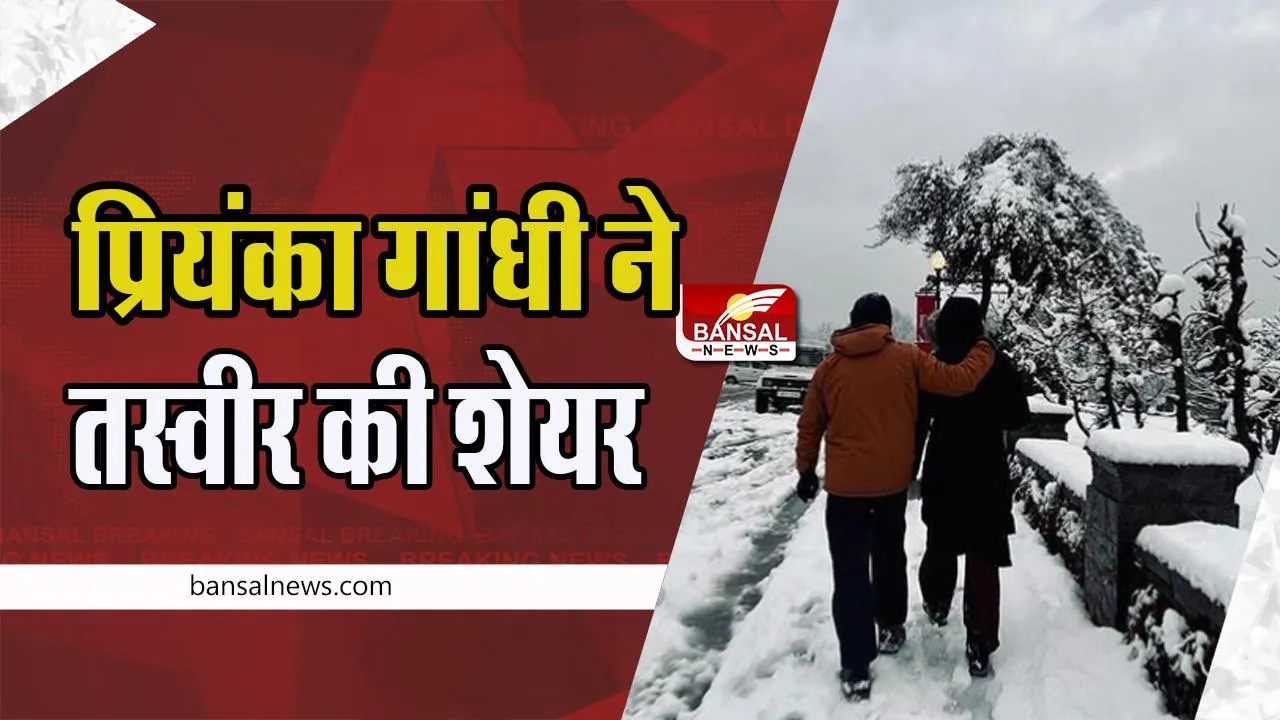 National Siblings Day: प्रियंका गांधी ने भाई राहुल संग तस्वीर की शेयर ! आखिर क्यों मनाते हैं सिबलिंग डे