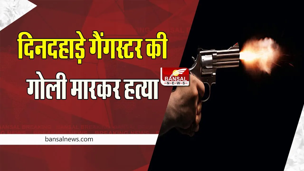 Sikar Firing Big Breaking: एक बार फिर से गैंगवार हुआ एक्टिव ! दिनदहाड़े गैंगस्टर को गोली मारकर हत्या, सामने आया वीडियो