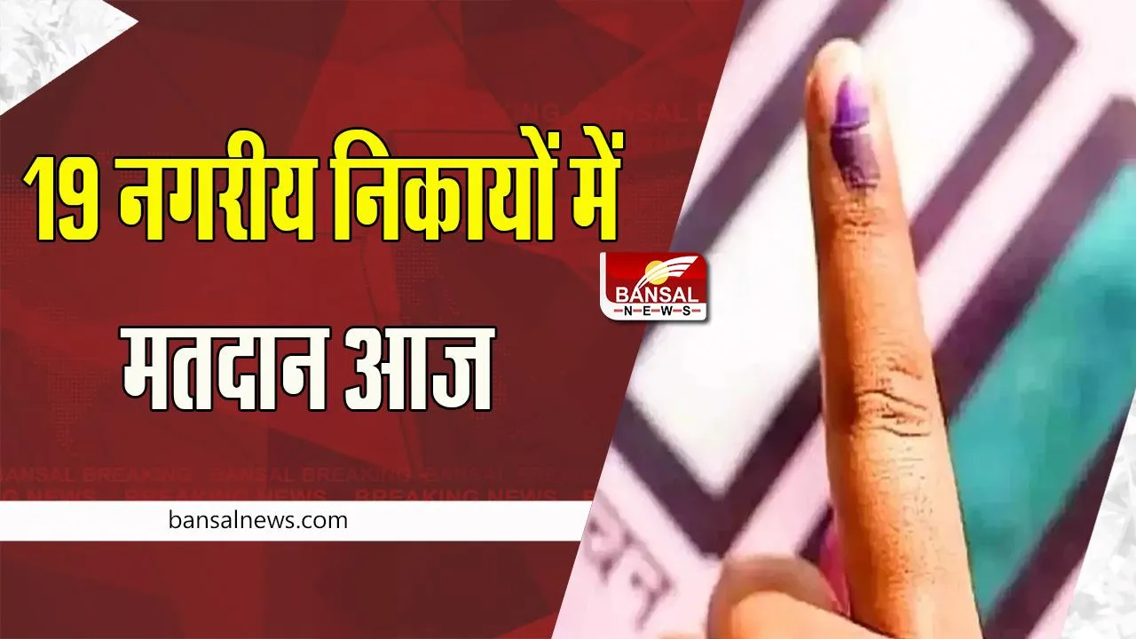 MP Nagar Nikay Chunav 2023 Live Update: दोपहर तीन बजे तक राघौगढ़ में 65 प्रतिशत मतदान, शाम 5 बजे तक चलेगी वोटिंग