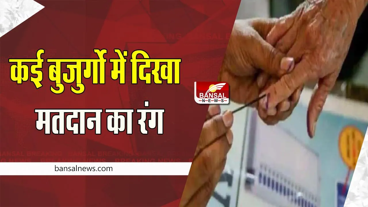 Delhi MCD Election 2022: 106 वर्षीय दादी ने अपने मत का किया प्रयोग ! कई बुजुर्गो में दिखा मतदान का रंग