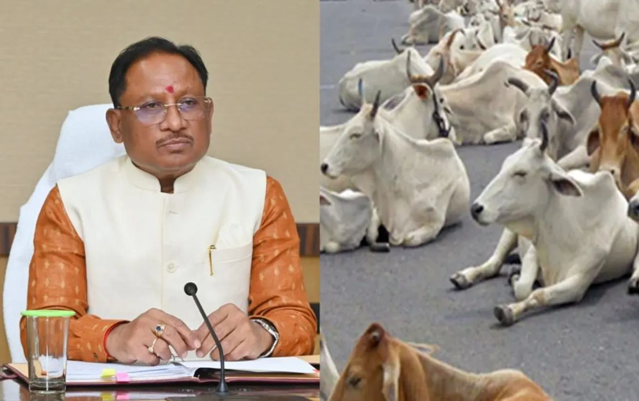 CG News: गौवंश की सुरक्षा के लिए सरकार का बड़ा कदम, सीएम साय ने की इस योजना की घोषणा