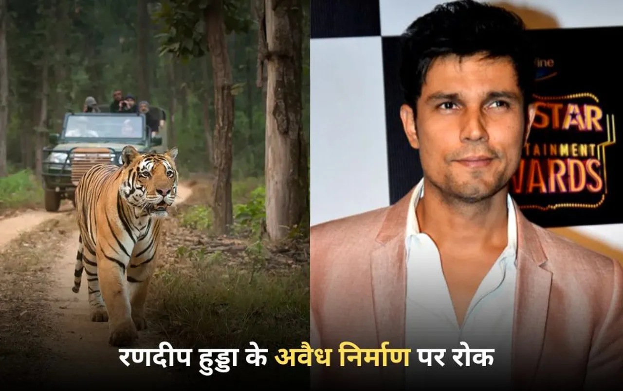 बॉलीवुड एक्टर Randeep Hooda के अवैध निर्माण पर रोक: MP के इस Tiger Reserve Area के पास बना रहे थे होटल