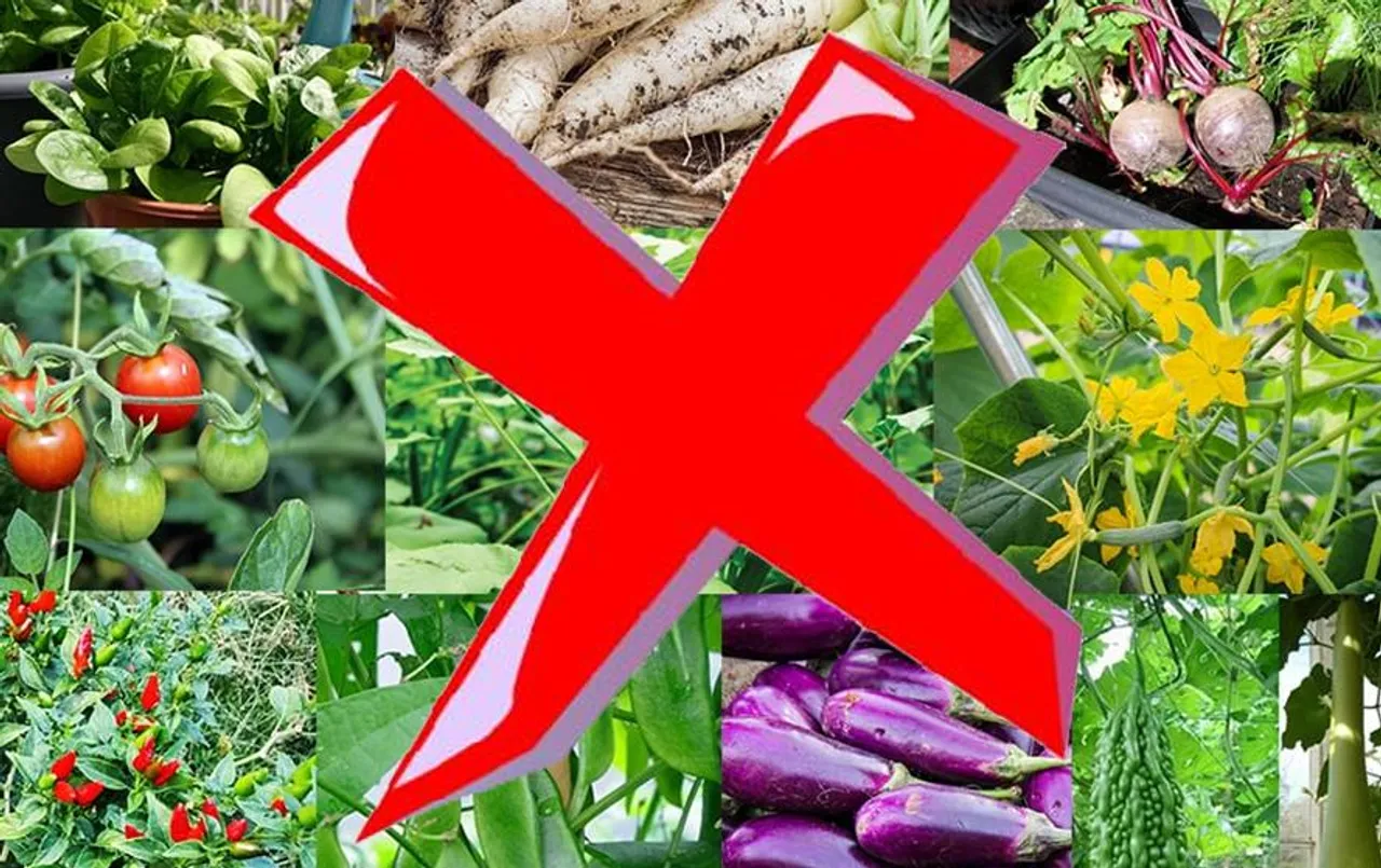 बारिश के मौसम में ये 7 चीजें खाने से करें परहेज, हो सकता है गंभीर संक्रमण का खतरा