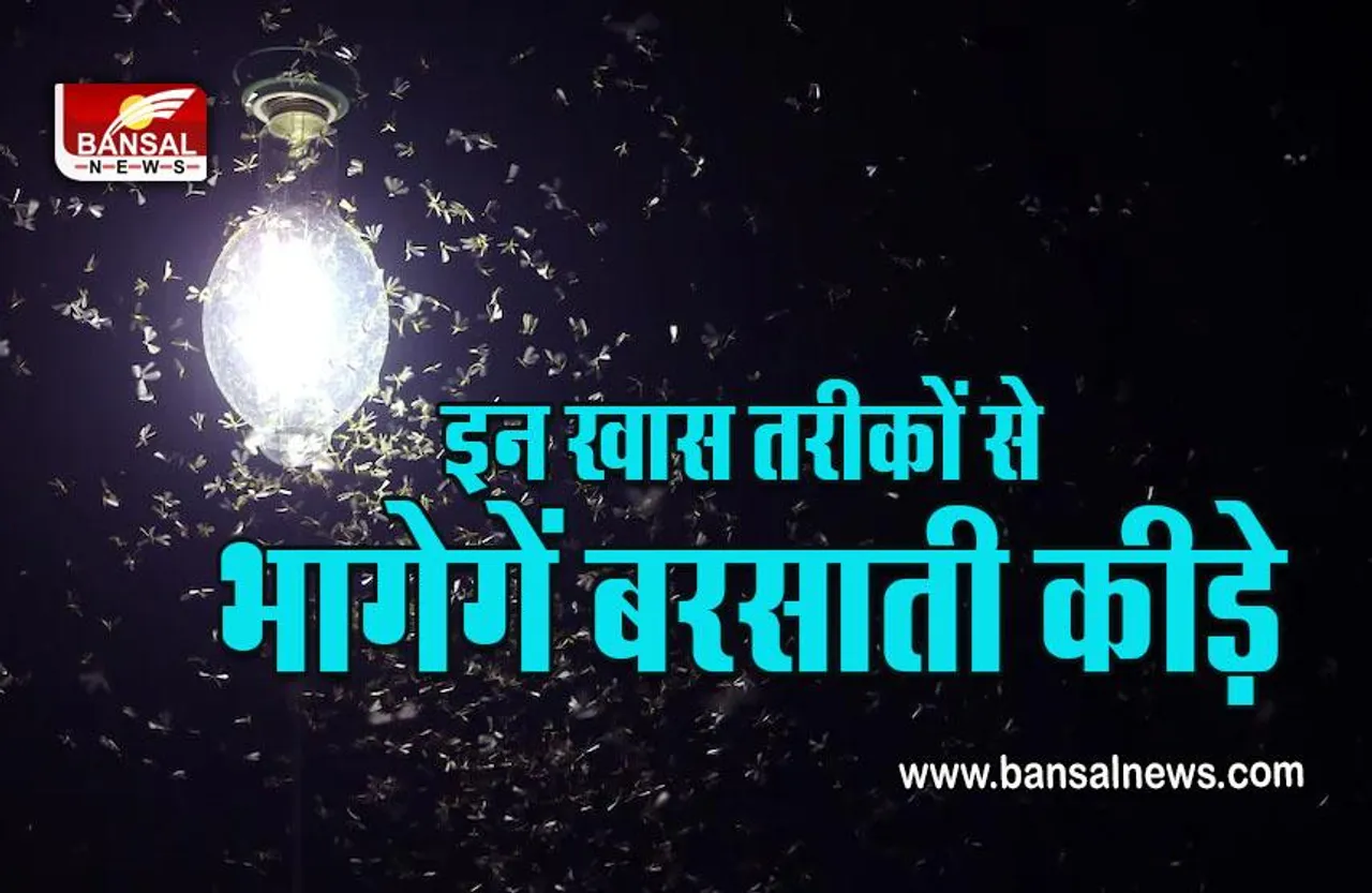 Remedies For Get Rid Insect In Rain : बारिश के मौसम में झींगुर से हैं परेशान, ये रहे छुटकारा पाने के सरल उपाय