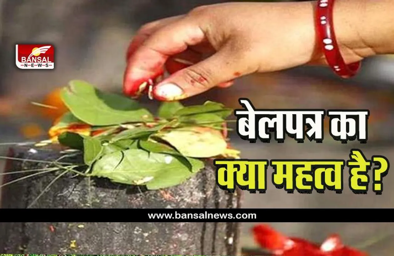 Belpatra: बेलपत्र का क्या महत्व है? जानें बेलपत्र को तोडने और शिवलिंग पर चढ़ाने के नियम