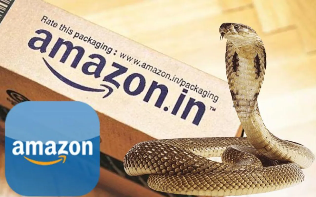 Amazon Parcel Snake: अमेजन का पार्सल खोलते ही अंदर से निकला कोबरा, उड़ गए महिला के होश, जानें कंपनी ने फिर क्या किया