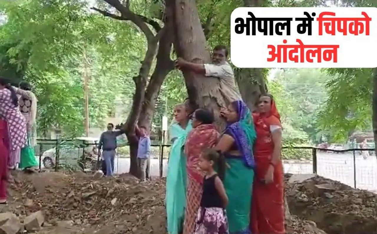 Chipko Movement in Bhopal: शिवाजी नगर और तुलसी नगर में महिलाएं पेड़ों से चिपककर रो पड़ीं, बोलीं- बच्चों की तरह पाला है