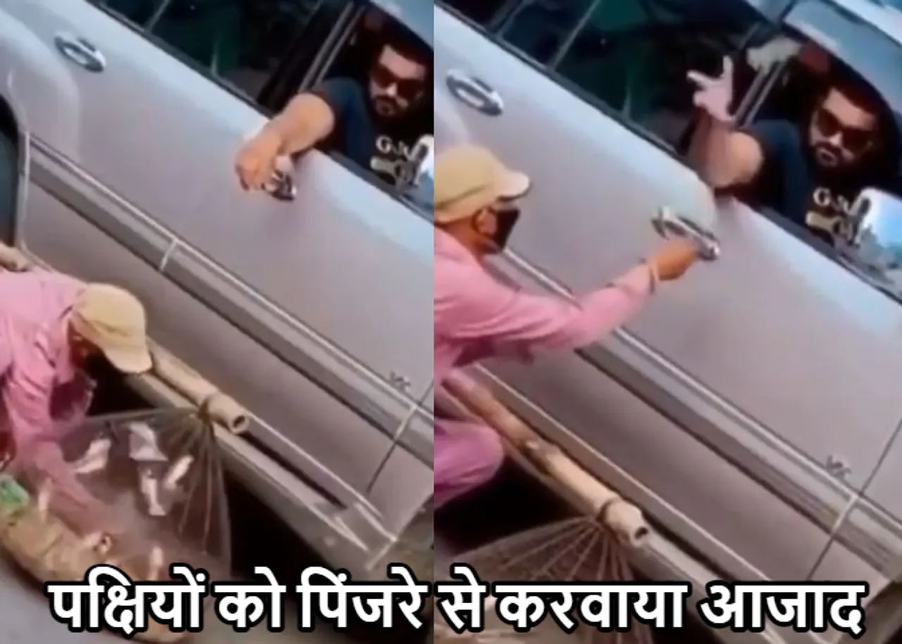 Viral Video 2023: पिंजरे से पक्षियों को इस तरह किया आजाद! वीडियो देख, लोगों ने की जमकर तारीफ