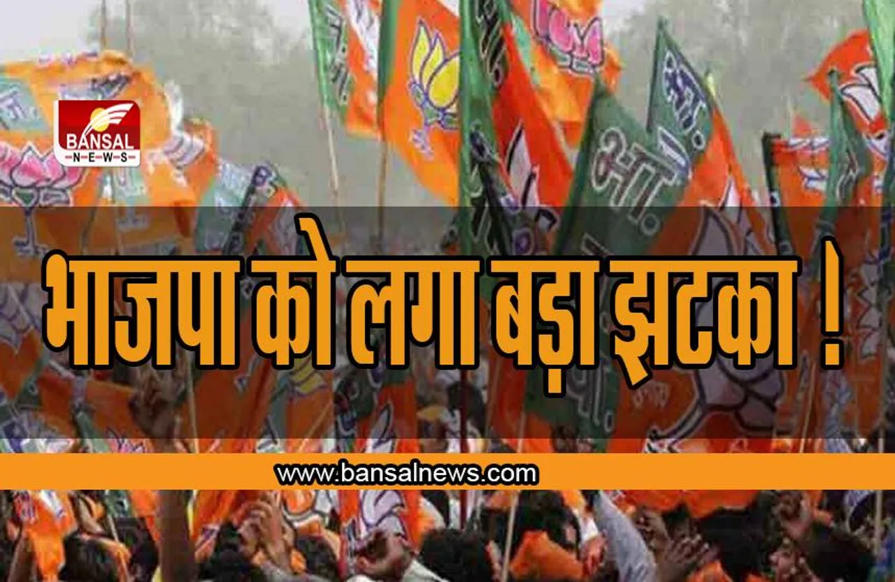 Delhi Assembly : भाजपा को लगा बड़ा झटका ! तीन विधायकों पर की करवाई