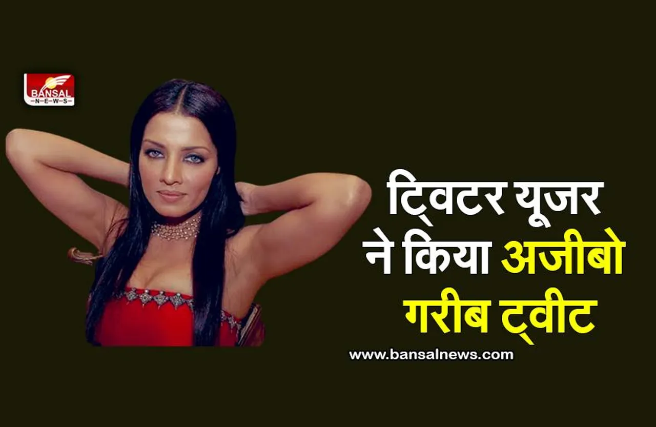 Celina Jaitly Tweet: सेलिना जेटली पर शख्स ने लगाए अजीबो गरीब इल्जाम, एक्ट्रेस ने दिया ये जवाब