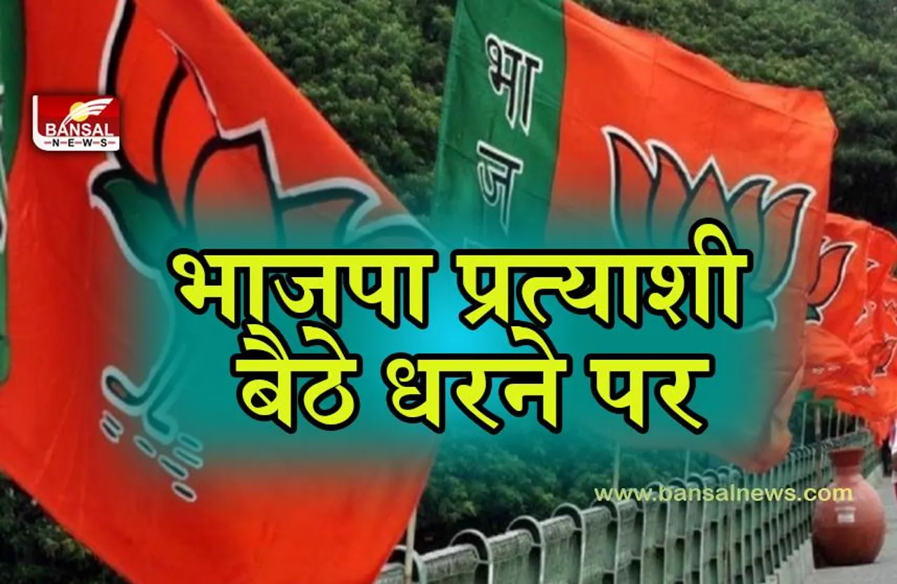 KHAIRAGADHCHUNAV: भाजपा प्रत्याशी कोमल जंघेल बैठे धरने पर, नक्सल प्रभावित क्षेत्र के वोटरों में दिखा उत्साह,