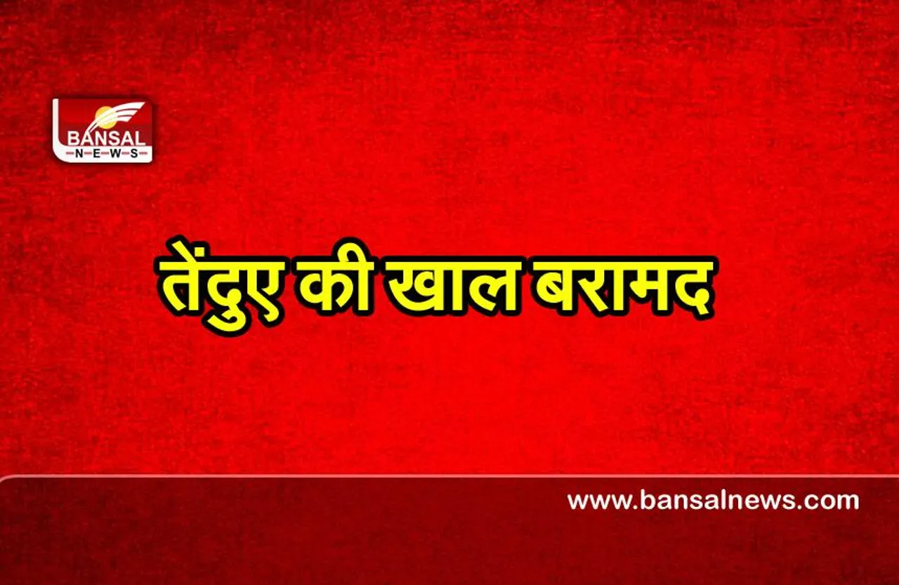 Chhattisgarh News : तेंदुए की खाल की तस्करी कर रहे , तीन लोग पकड़ाए