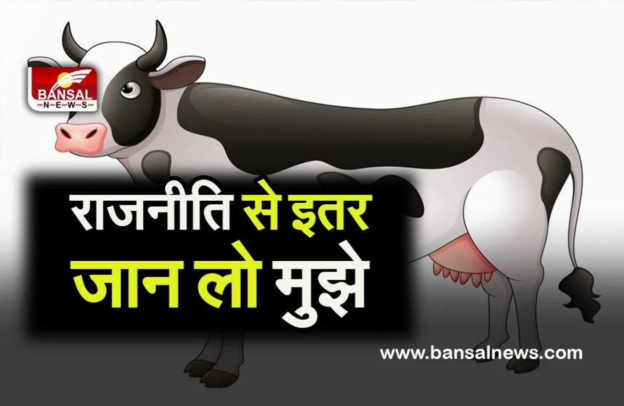 country highest gausala: देश की सर्वाधिक गौ-शालाएँ हैं मध्यप्रदेश में,पढ़िये अनोखे गौ माता से संबंधित फैक्ट