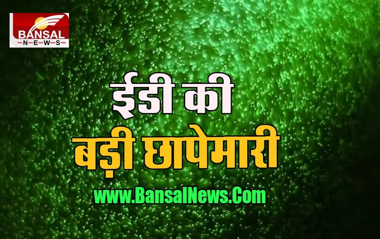 ED Big Raid: पंजाब पहुंची ईडी की बड़ी कार्रवाई, आबकारी आयुक्त समेत आवासों पर की छापेमारी