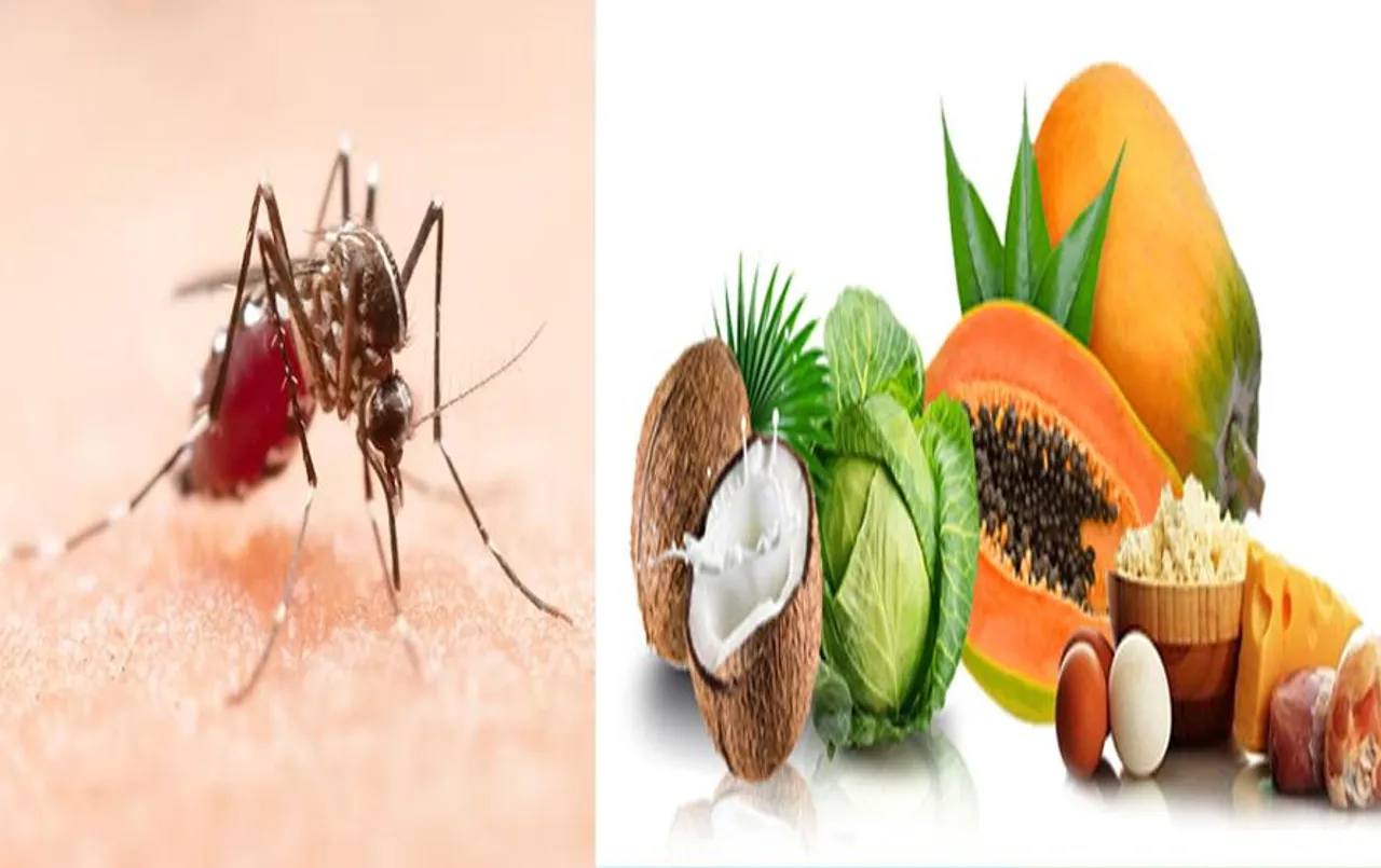 Diet for Dengue: डेंगू से जल्दी रिकवर होने में मदद करेगें ये सुपर फूड आइटम्स,जानें क्या-क्या है शामिल